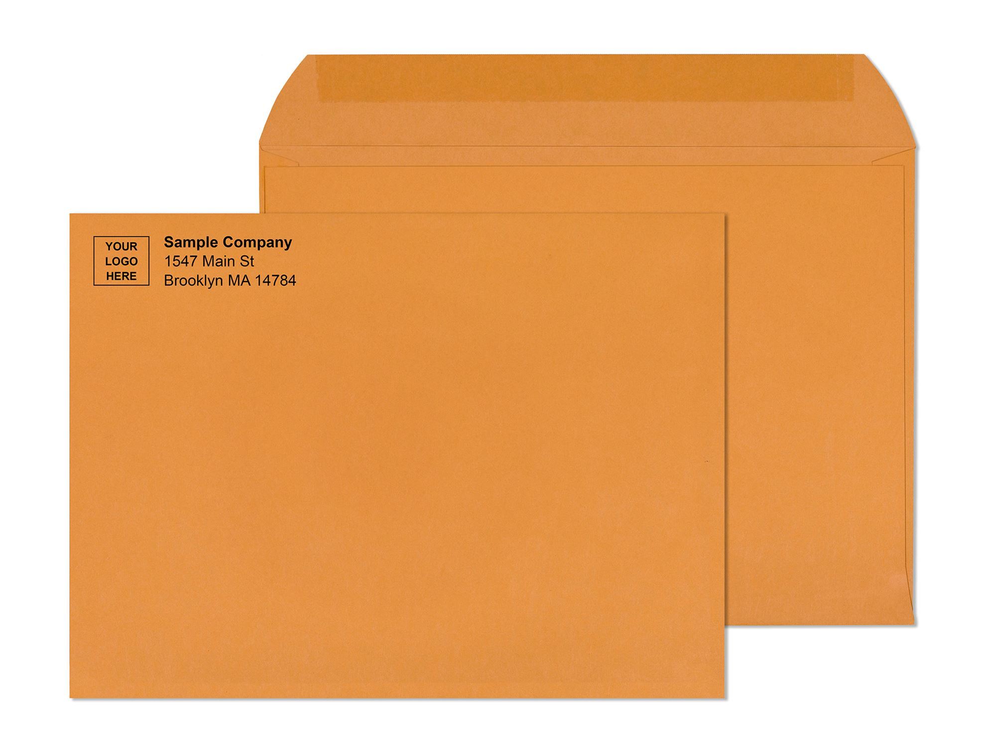 Catalog Envelopes and Booklet Envelope Printing